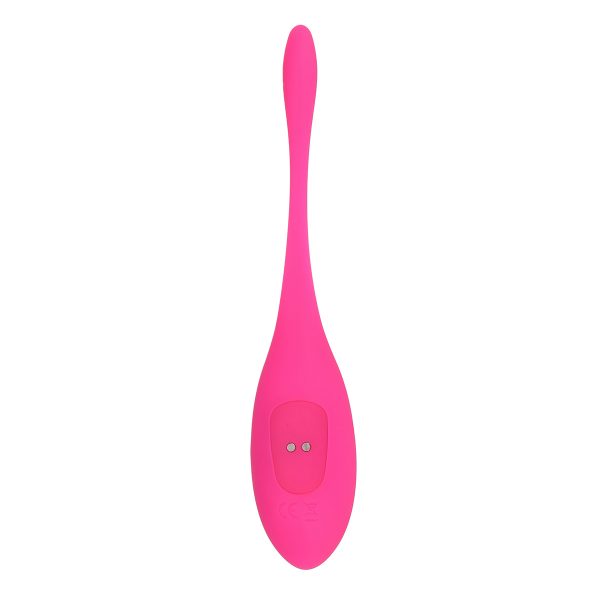 16 Modes Vibrating Massage Egg 2 Ways Wireless Control Vibrator USB Rechargeable
